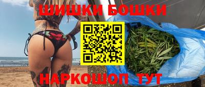 спиды Гай