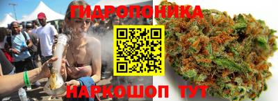 ПСИЛОЦИБИНОВЫЕ ГРИБЫ Гатчина