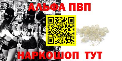 спиды Гай
