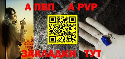 спиды Гай