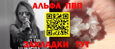 спиды Гай